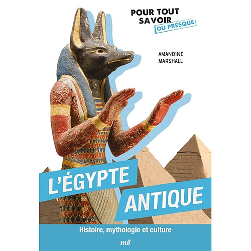 L'Egypte antique : histoire, mythologie et culture · Occasion