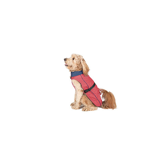Dog Gone Smart Imperméable pour Chien - Corail 35 cm
