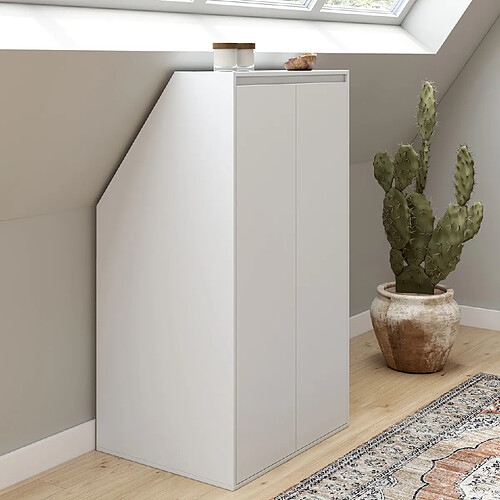 Idmarket Armoire sous pente 2p TOMI