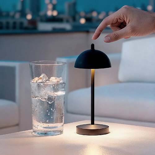Ledkia Lampe LED Pirinoa - Noir
