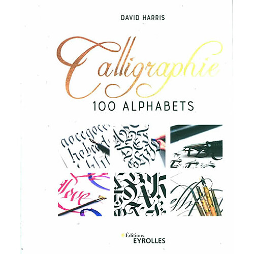 Calligraphie : 100 alphabets · Occasion