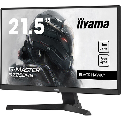 iiyama G-MASTER G2250HS-B1 écran plat de PC 54,6 cm (21.5") 1920 x 1080 pixels Full HD LED Noir