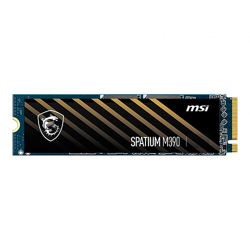 MSI SPATIUM M390 NVMe M.2 2TB