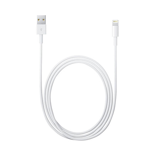 Câble orignal Apple Lightning vers USB - 0.5M