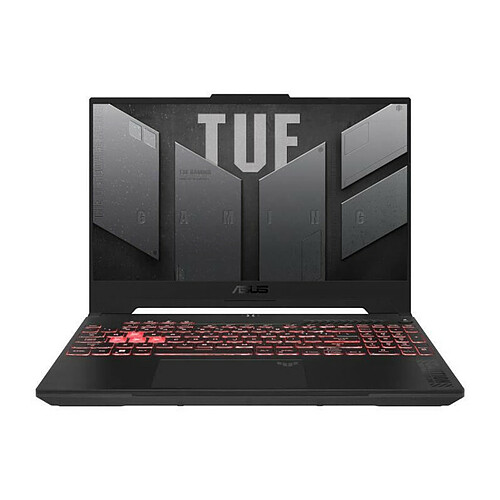 ASUS TUF Gaming A17-TUF707XI-HX014W - Gris