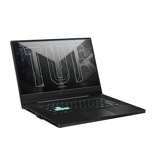 ASUS Gaming DASH-TUF516PM-HN025T - Gris