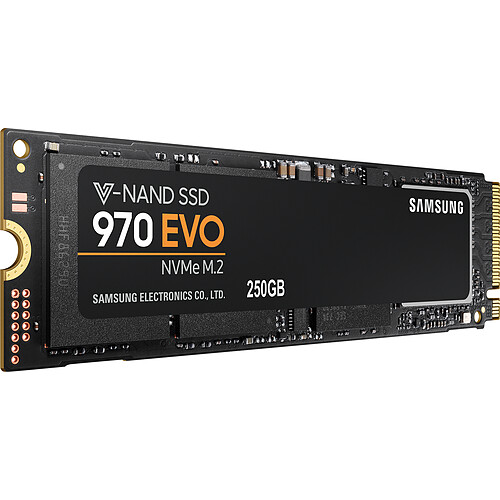 Samsung 970 EVO 250 Go M.2 NVMe PCIe 3 x4