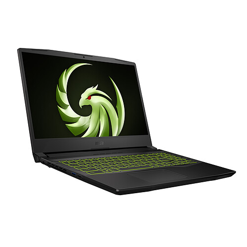 MSI Alpha 15 B5EEK-214XFR