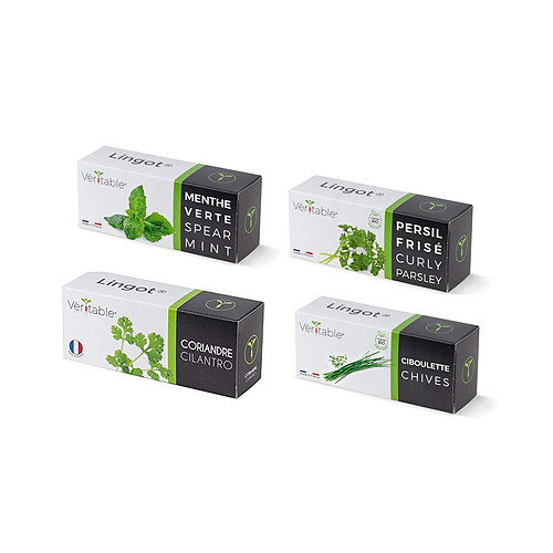 Véritable Pack de 4 Lingots pour Potager d'intérieur - Persil frisé - Coriandre - Menthe verte - Ciboulette