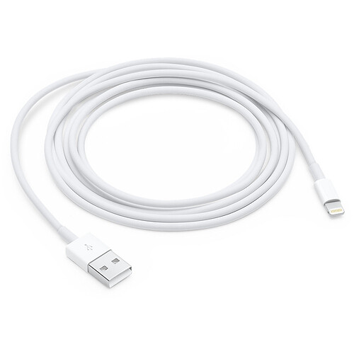 Apple Câble Lightning vers USB 2 m - MD819ZM/A