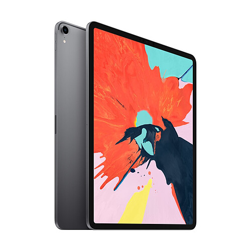 Apple iPad Pro 2018 12,9 - 512 Go - WiFi - MTFP2NF/A - Gris Sidéral · Reconditionné