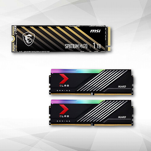 PNY XLR8 MAKO RGB 32 Go (2 x 16 Go) DDR5 6400 MHz CL40 + Disque SSD - SPATIUM M470 PCIe 4.0 NVMe M.2 1TB