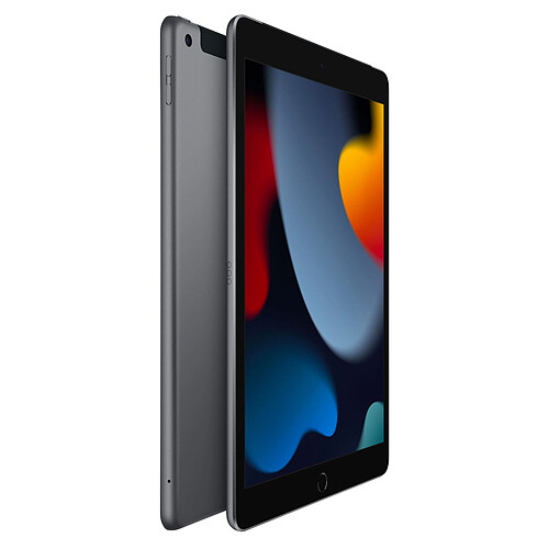 Apple iPad (2021) 64 Go Wi-Fi + Cellular Gris Sidéral