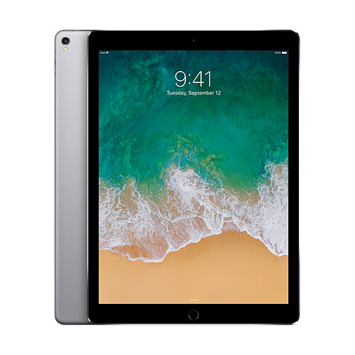 Apple iPad Pro 12,9 - 256 Go - WiFi - MP6G2NF/A - Gris Sidéral · Reconditionné