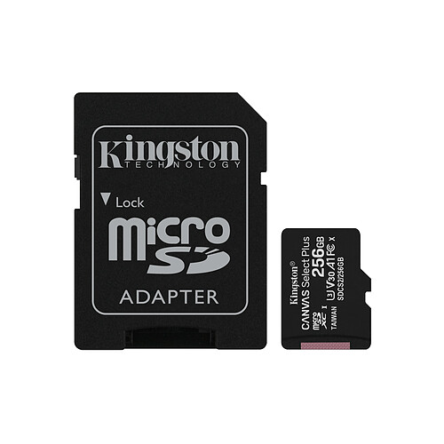 Kingston Canvas Select Plus 256 Go