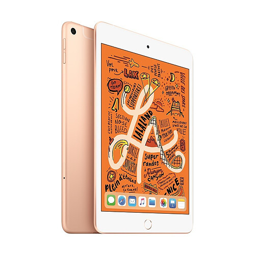 Apple iPad mini 2019 - 64 Go - Wifi - MUQY2NF/A - Or · Occasion