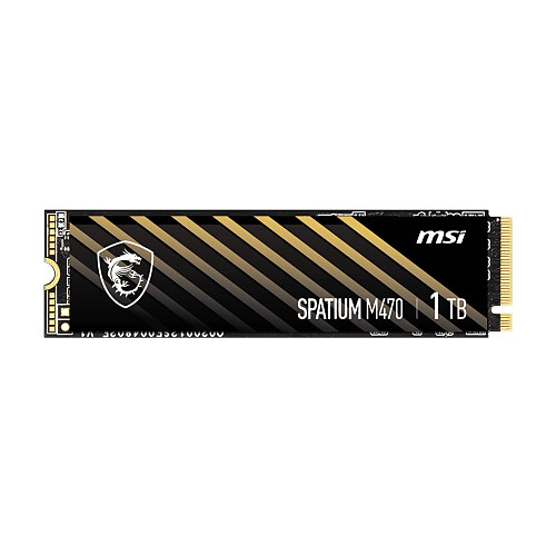 MSI SPATIUM M470 PCIe 4.0 NVMe M.2