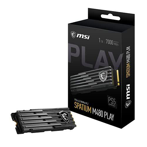 MSI SPATIUM PLAY M480 PCIe 4.0 NVMe M.2 1TB