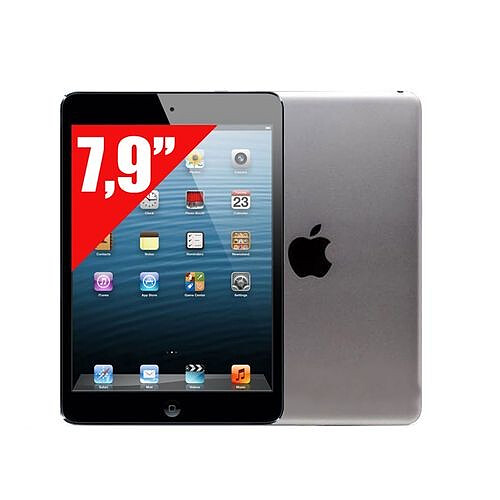 Apple iPad Mini - 16 Go - Gris Sidéral · Reconditionné