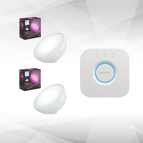 Philips Hue Lot de 2 lampes à poser connectées Hue Go portables - White & Color Ambiance - V2 - Sur batterie