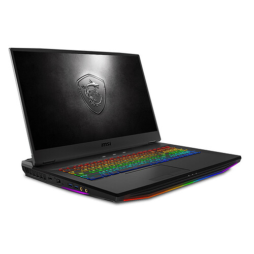 MSI GT76 Titan DT 10SFS-009FR - Gris