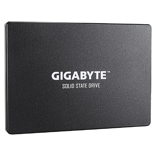 Gigabyte SSD 1 To - 2,5" SATA 6 Gb/s - Noir