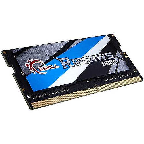 G.Skill Ripjaws Series 16 Go (1 x 16 Go) DDR4 Notebook (SO DIMM)