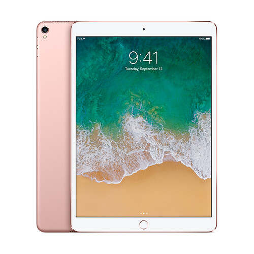 Apple iPad Pro 10,5 - 64 Go - WiFi - MQDY2NF/A - Or Rose