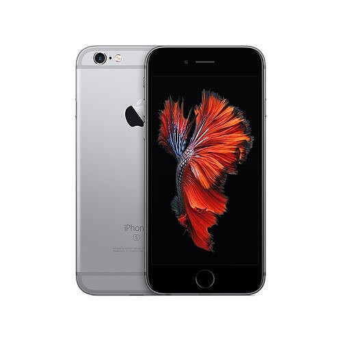 Apple iPhone 6S 64 Go Gris Sidéral · Reconditionné