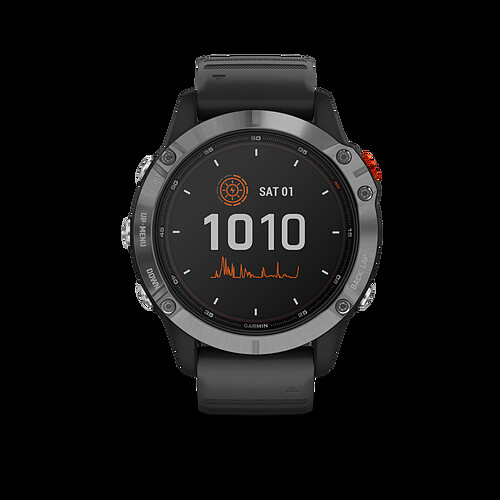 Montre Garmin Fenix 6 Solar 010-02410-00 Silver