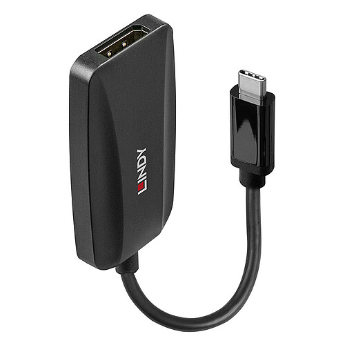 Lindy Convertisseur USB Type C vers DisplayPort 1.4