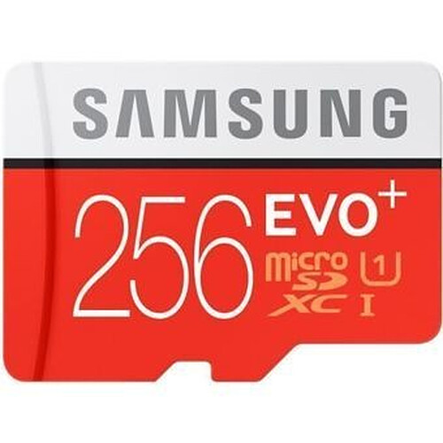 Samsung Carte micro SD 256 Go EVO PLUS classe 10 100Mo/s avec adaptateur SD