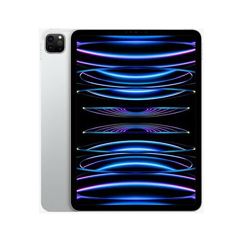 Apple iPad Pro 11 (2022) WiFi - 512 Go - Argent