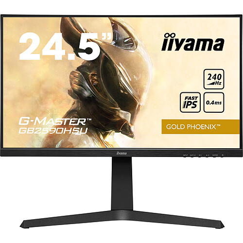 iiyama 24" LED GB2590HSU-B1