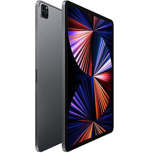 Apple iPad Pro 11" (2021) Wi-Fi 1To - Gris Sidéral