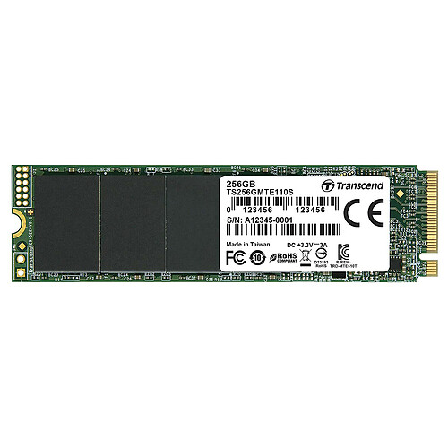 Transcend 110S 256 Go - M.2 - PCI Express 3.0 4x