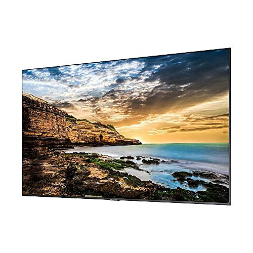 Samsung ECRAN 65'' LFD 4K QE65T 16h/7j 3840x2160 300cd/m 2HDMI USB Design fin p
