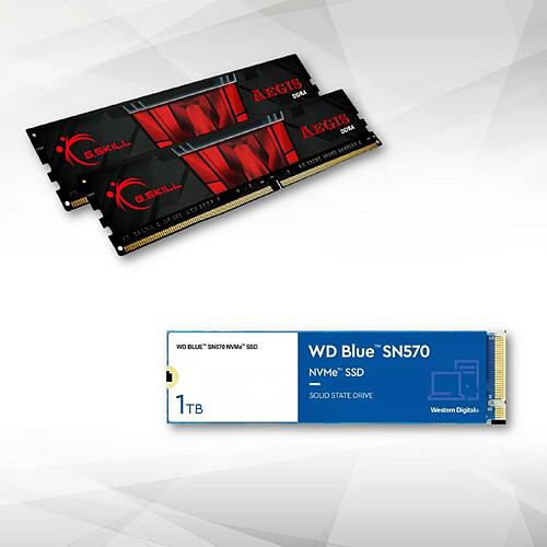 Western Digital Disque SSD NVMe™ WD Blue SN570 1 To + Aegis 2 x 8 GB DDR4 3200 MHz CL16 KIT Rouge