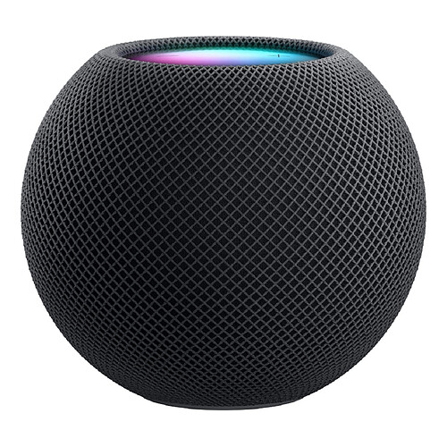 Apple HomePod Mini Gris Sidéral