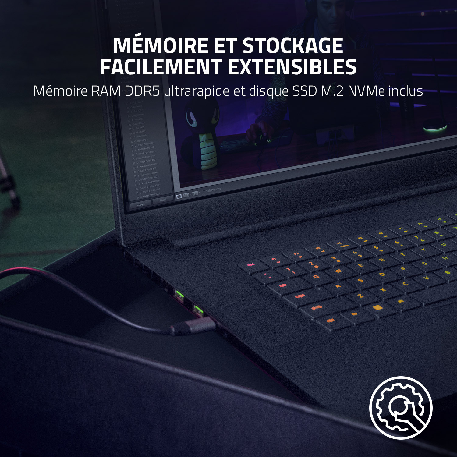Écran De Remplacement 17.3" QHD 240Hz Pour Razer Blade Pro 17 RZ09-0423NED3-R3U1 - Panneau LED IPS BOE - Neuf