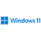 Windows 11